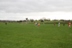 125Celebrations_135