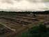 Nace O'Dowd Park Pitch Development