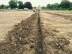 Nace O'Dowd Park Pitch Development
