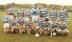Intermediate County Final Team 1992